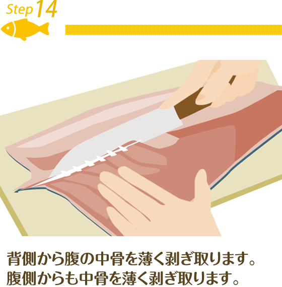 Step14.背側から腹の中骨を薄く剥ぎ取ります。腹側からも中骨を薄く剥ぎ取ります。